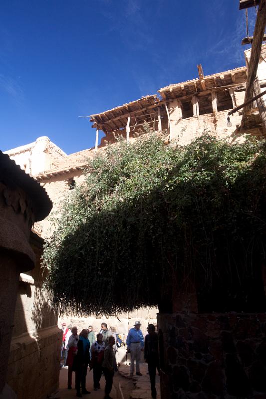 Dahab selectie 2010_01_16 10h40m.jpg - The biblical burning bush at St. Catherine's Monastery